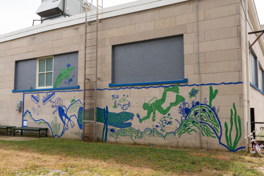 2021 tapeart walls 068web