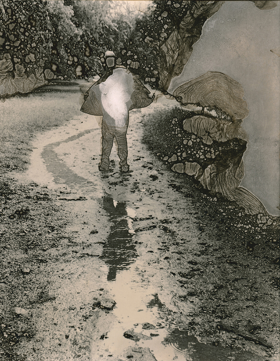 Ivanova Ellie Exit Enter