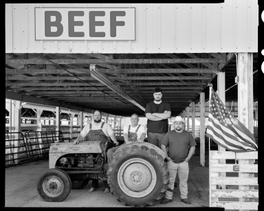 8x10 prints postcards 60 tractor beef